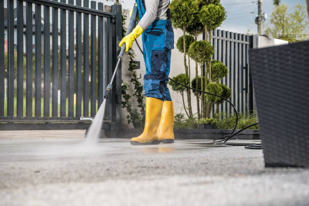 Best Roof Washing  in Buffalo Center, IA